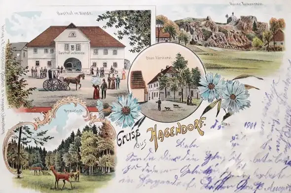 Święto Lasu w powiecie lwóweckim – jak obchodzono je w XIX wieku
