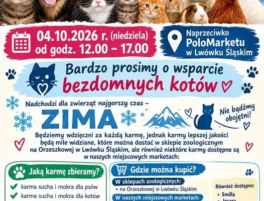 Lwówek Śląski: zbiórka karmy dla bezdomnych kotów już 4 października