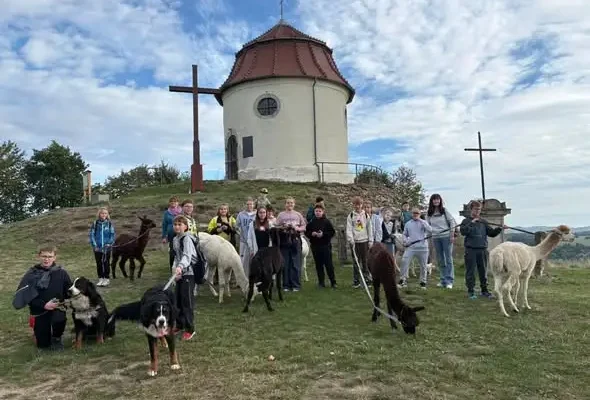 Klasa Vc odkrywała tajemnice Proszówki – historia, legendy i alpaki