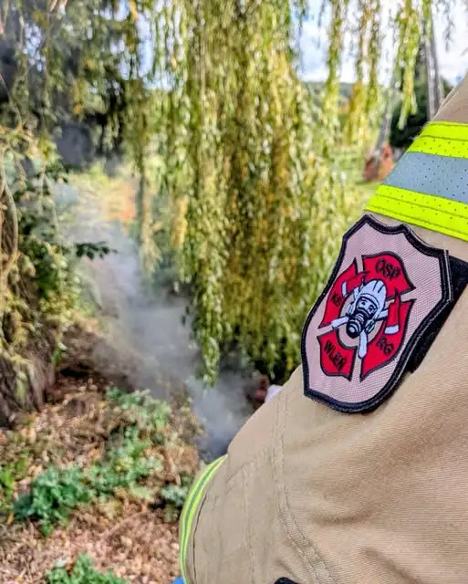 Pożar nieużytków przy ul. Jeleniogórskiej we Wleniu — akcja OSP Wleń